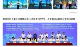 黄陂最新爆料事件新闻,事件真相再掀波澜